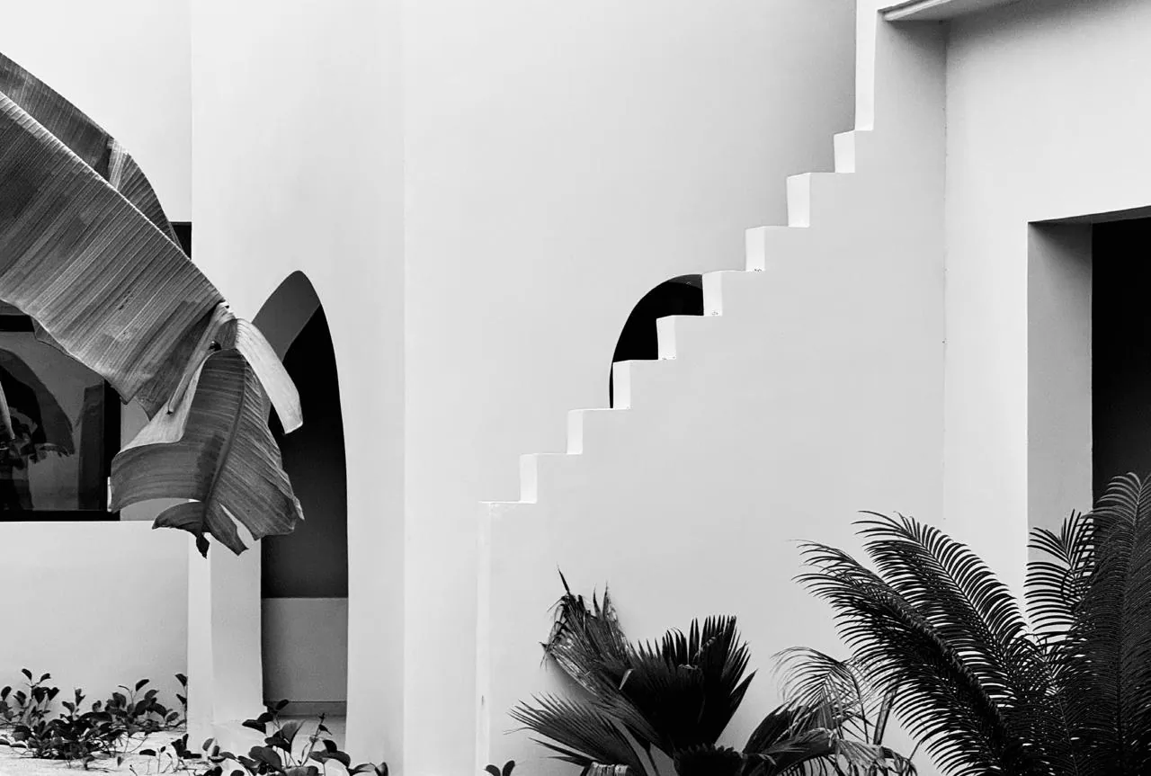 Architecture detail with sculptural staircase and tropical foliage